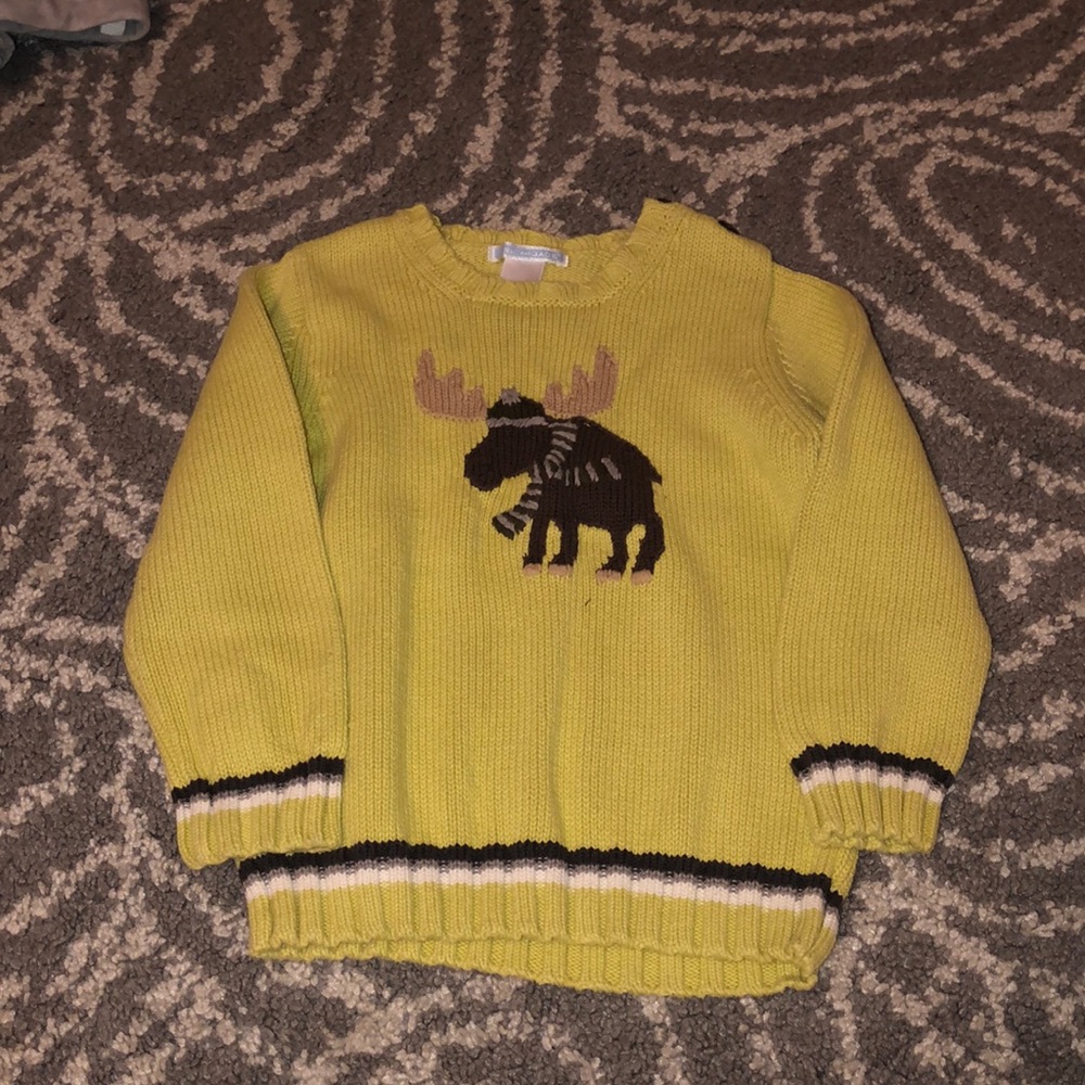 🛑 Boys Moose Sweater